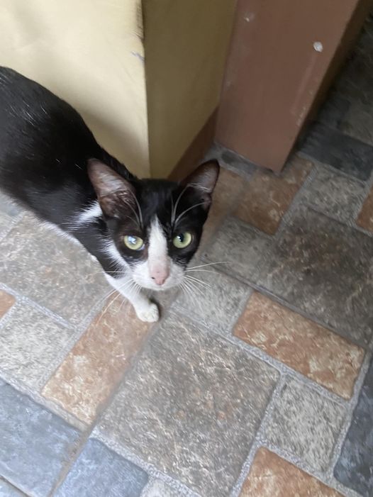 Meet MC! Follow her story on our facebook page.